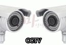CCTV 관련주